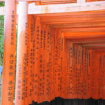 Oyama-sai Festival at Fushimi Inari Taisha