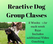 Group Reactive Class North Lakes