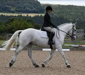 Dressage & Go