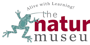 The Nature Museum Summer Unplugged Series