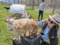 Mothers day goat snugles