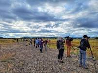 Third Saturday Bird Walk