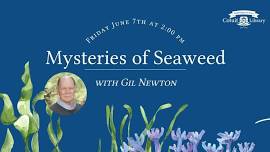 Mysteries of Seaweed with Gil Newton