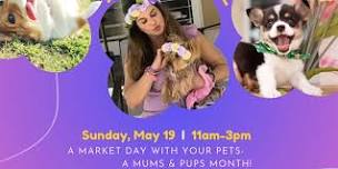 Sunday PawDay @Downtown Dadeland