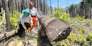 Cascade Volunteers Chainsaw Certification Class