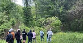 Spring Birding Hike