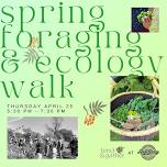 Spring Foraging + Ecology Walk