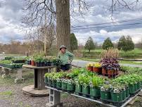 Landscaping with Native & Pollinator-Friendly Perennial Plants Workshop