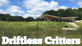 Driftless Critters