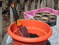 Garden Hotline Presents: Container Gardening 101