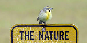 June Bird Walk - Kankakee Sands Grassland Specialties