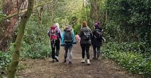 Group Woodland Walk with Meditation