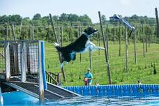 Peyton’s Plunge for Cumberland Valley Animal Shelter