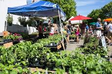 Ukiah Farmers Market