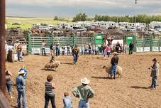 Lamont Summer Sizzler Rodeo