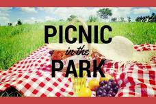 Picnic in the Park Photoshoot