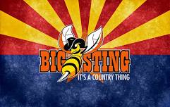 2024 The Big Sting – It’s a Country Thing Country Music Festival