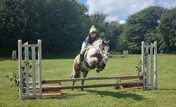 Summer Showjumping