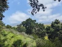 Guided Walk at the San Marcos Foothills Preserve