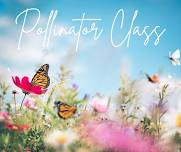 Pollinator Class