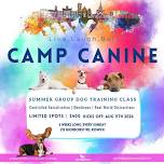 Camp Canine Keswick