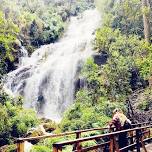 Caminata Quebrada Las Delicias