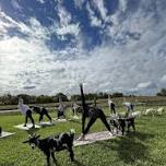 Goat Yoga @ Hidden Lake Winery