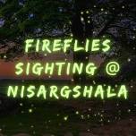 Weekend Nature Retreat & Fireflies sighting