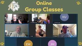 Online Group Class