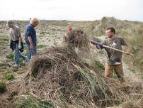 Dune Restoration Volunteer Day