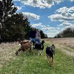 Saturday Goat Hikes