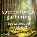 Sacred Forest Gathering