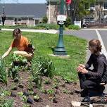 Ambler Arboretum Volunteer Days