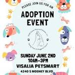   ADOPTION EVENT  