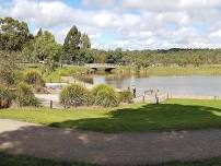 Walk The Lilydale Lake And Wetlands Sunday Mornings