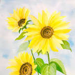 Sunflower Watercolor Workshop for Beginners @Hiwasse Mercantile