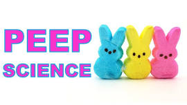 Afterschool Fun! PEEP Experiment