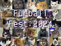 Furball Fest 2024