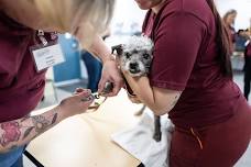 Nail Trim Clinic