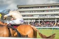 Haydock Park Charity Race Day