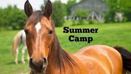 Summer Horse Camp: Week #3