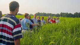 Guided Prairie Walk - Alton, IL — greatriverroad.com