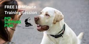 FREE Dog Training Sessions with Caiti Price Dog Training