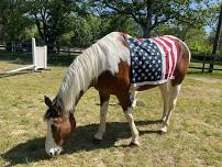 Lucky Star Horsemanship