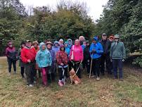 Hike at Clark State Forest