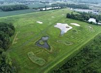 What’s in the Wetland?