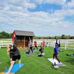 Goat Yoga