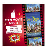 Teen Night at Pine Plains Free Library