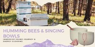 Humming Bees & Singing Bowls Shamanic Sound Bath