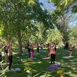 Yoga and Wine at Indian Creek Winery